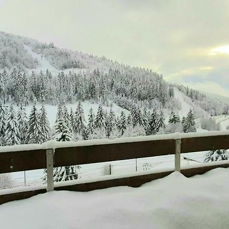 Les Oursons Du Hohneck Daire La Bresse Dış mekan fotoğraf