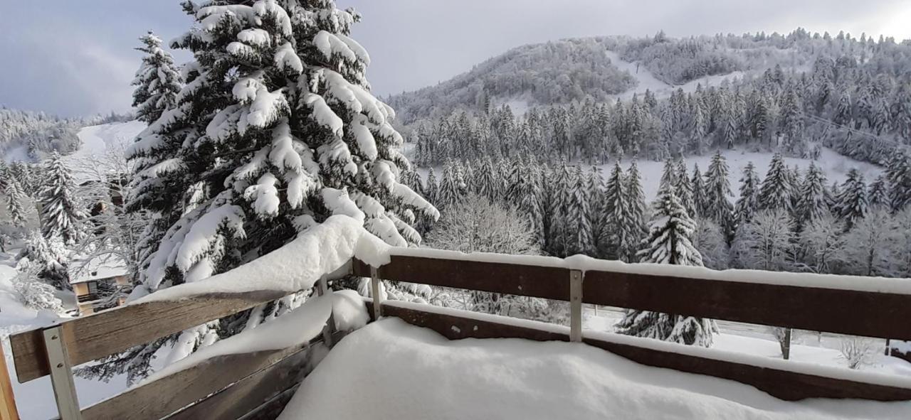 Les Oursons Du Hohneck Daire La Bresse Dış mekan fotoğraf